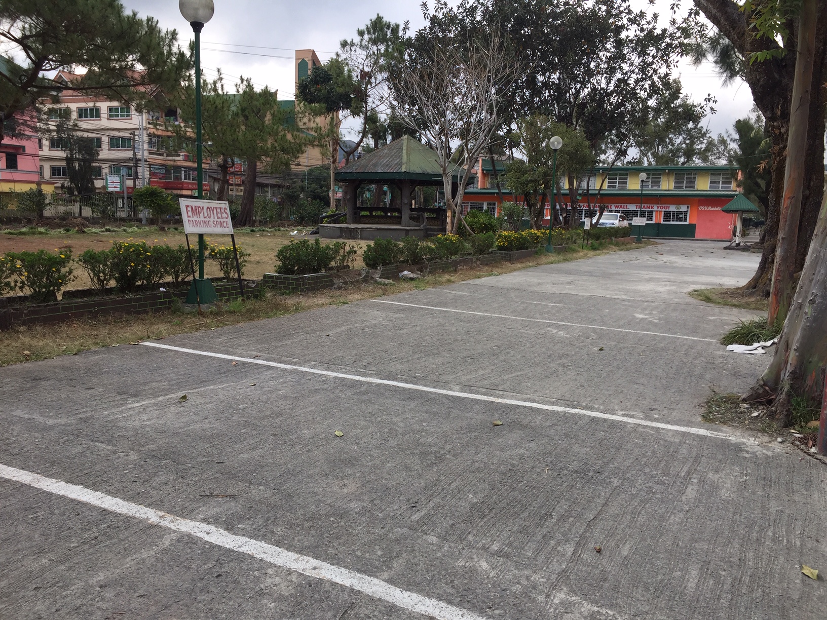 Fig. 1, Empty parking spaces during the carless day